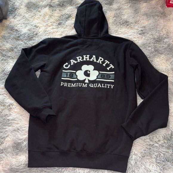 Cahartt Shamrock Hoodie Loose Fit size Small NWT - Picture 3 of 8